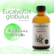 天然100% ユーカリ グロブルス オイル 200ml アロマ アロマオイル エッセンシャルオイル ユーカリプタス 精油 マスク_画像2