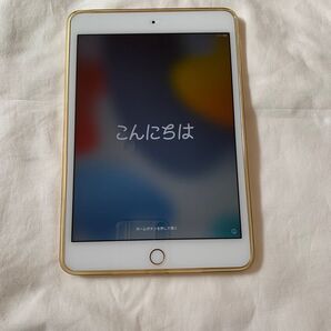 iPadmini 4