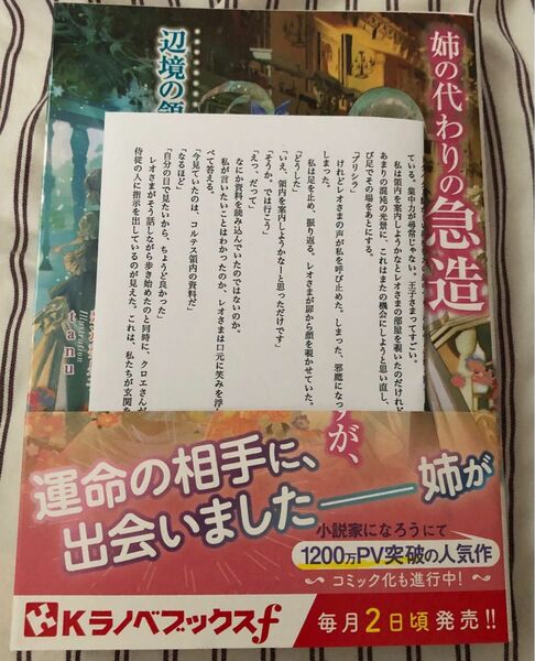 紀伊國屋書店 特典SSペーパー 姉の代わりの急造婚約者ですが、辺境の領地で幸せになります