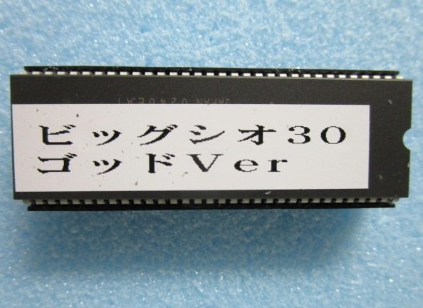 ビッグシオ30 パイオニア item details | Yahoo! Japan Auctions | One