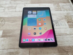 Apple iPad 10.2インチ 第7世代 Wi-Fi 128GB MW772J/A