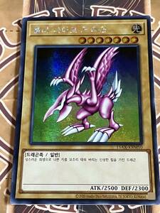 韓国版遊戯王カード 『ホーリーナイト・ドラゴン』シークレットレア 1枚