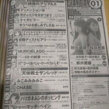 ヤングガンガン 2015 NO.01 桜井玲香 秋元真夏 田中美久 矢吹奈子 新井愛瞳 緋弾のアリアAA 桜井玲香秋元真夏特製お風呂ポスター_画像7