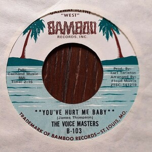 THE VOICE MASTERS / YOU'VE HURT ME BABY / IF WOMAN CATCHES A FOOL /NORTHERN SOUL 45/FUNK,7インチ