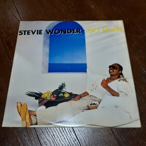 STEVIE WONDER / GO HOME /シンセ・ディスコ/12INCH,12インチ