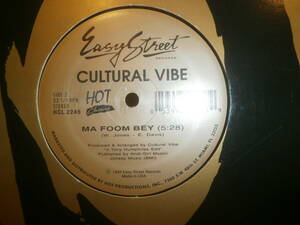CULTURAL VIBE / MA FOOM BEY / SERIOUS INTENTION / YOU DON'T KNOW //GARAGE/RICARDO VILLALOBOS