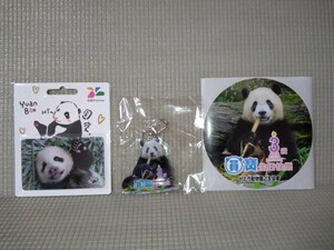 ☆入手困難☆台北動物園パンダ圓寶悠遊カード