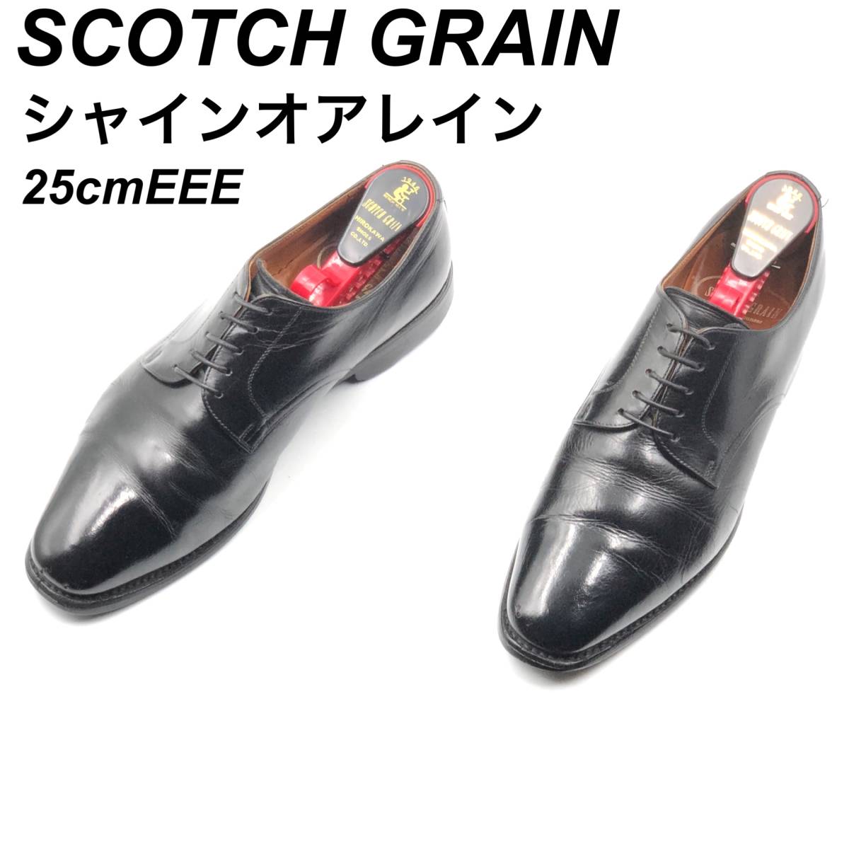 即決 SCOTCH GRAIN スコッチグレイン アシュランス 25 5cmEEE 3525BL