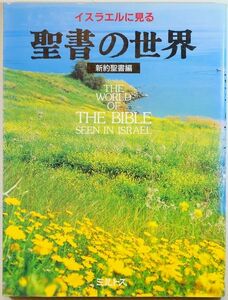 聖書 「イスラエルに見る聖書の世界〈新約聖書編〉」ミルトス編集部 A4 126505