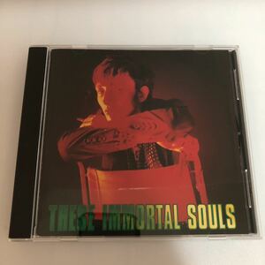 These Immortal Souls / I'm Never Gonna Die Again CD Rowland S. Howard The Birthday Party 国内盤 歌詞対訳付き NICK CAVE