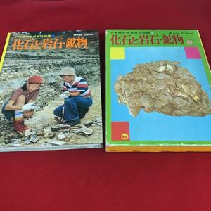 d-520 ※12小学館の学習図鑑29 化石と岩石・鉱物 小学館