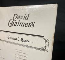 米LP シュリンク入【Rrimeval Road】David Chailmers（自主制作盤 フォーク サイケ）_画像7