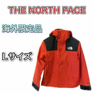 日本未発売 ノースフェイス マウンテンジャケット GORETEX Lサイズ　新品　THE NORTH FACE 1990 Mountain Jacket