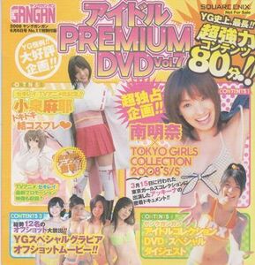 ★送料無料!◎即決!【ヤングガンガン 2008年No.11 付録DVD】◆南明奈 小林麻耶 しほの涼 仲村みう 秋山優 長崎莉奈 池澤あやか 秋山奈々★