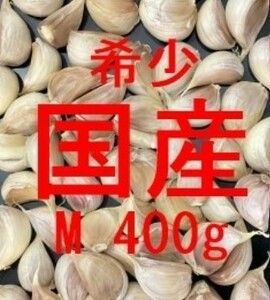 42 宮崎県産 博多八片 乾燥 にんにく バラ M 400g 種用可