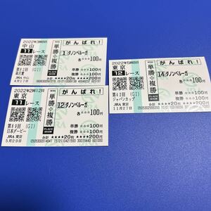 ダノンベルーガ　皐月賞　日本ダービー　ジャパンカップ 現地応援馬券セット　数量9