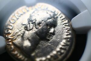 稀少銀貨 ローマ帝国 NGC AD 81-96 アンティーク ビンテージ 古代 希少 シルバーコイン 銀貨 ドミティアヌス デナリウス