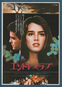 チラシ■1981年【エンドレス・ラブ】[ B ランク ] Ver.b1/首都圏 館名入り/フランコゼフィレッリ ブルックシールズ