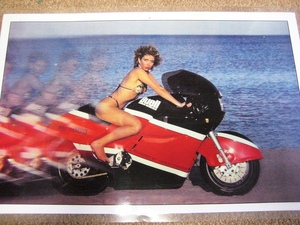 '87ビューエルBuellディーラーRR1000宣材写真XR1000ハーレーAMAバトル・オブ・ザ・ツインBOTTルシファーズハンマーXRTTスーパーバイク