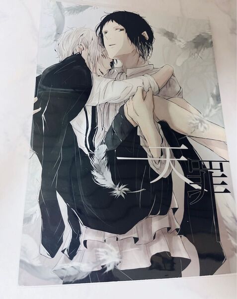 文豪ストレイドッグス 文スト 同人誌 芥敦 ①