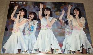 乃木坂46 ポストカード Blu-ray 「10th YEAR BIRTHDAY LIVE 」 封入特典 H-2 ハルジオンが咲く頃 秋元真夏 山下美月 賀喜遥香