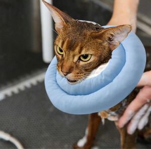 エリザベスカラー 犬 猫 柔らかいポリエステルパッド 術後傷口保護 傷舐め防止 あったか 犬猫 寒さ対策