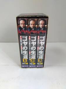 ゴヤの生涯　VHS　３本BOXセット　GOYA