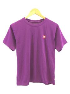 THE NORTH FACE◆S/S SMALL BOX LOGO TEE_ショートスリーブ スモール ボックス ロゴ ティー/M/コットン/P