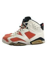 NIKE◆AIR JORDAN 6 RETRO/エアジョーダンレトロ/ホワイト/384664-145/29cm/WHT_画像1