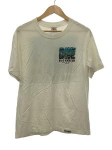 Tシャツ/M/コットン/WHT/プリント/crazy shirt/USA/90s