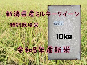 特別栽培米新潟県産ミルキークイーン10k