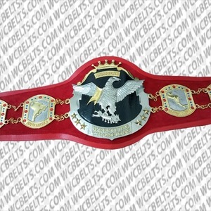 海外 送料込み 　高品質 NWAアメリカズ レスリング ヘビー級チャンピオンベルト プロレス　レスリング　チャンピオンベルト　 レプリカ