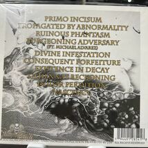 【新品同様】【新譜CD】I Am Destruction / Nascency【Deathcore】Signs of The Swarm,Lorna Shore,SPITE,Mental Cruelty,Worm Shepherd_画像2