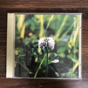 E424 中古CD100円 Meguru Kazeo + Yuko Aoki 風光る森の詩