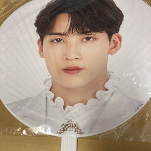SEVENTEEN うちわ JEONGHANver 2020 JAPAN DOME TOUR SVT 新品