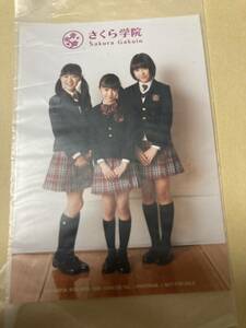 即決 さくら学院 生写真 菊地最愛 新品