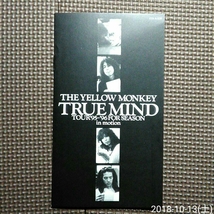 1LD THE YELLOW MONKEY / TRUE MIND TOUR'95-'96FOR SEASON in motion COLA-3230 激レア！_画像4