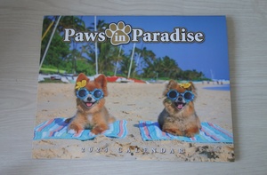 2024年　ハワイ　ワンちゃん カレンダー　犬　paws in Paradise　可愛い犬たち