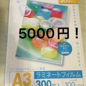 アイリスオーヤマ ラミネートフィルム １００μｍ ［Ａ３サイズ／３００枚］ Ａ３３００ＢＫ ３００枚／Ａ３サイズ