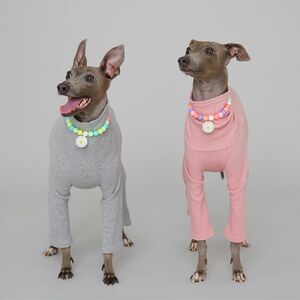 犬服 イタグレ服 S M L XL 2XL 3XL かわいい リブ地 ロンパース 小型犬 中型犬 大型犬 室内着