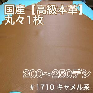 半裁革１枚革★かなり大きめ★キャメル系　本革　丸革　クロム鞣し　ハギレ　日本製　国産　高級本革　良いものが安い