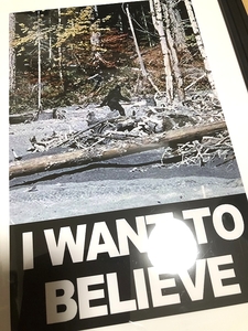  postage included )[I WANT TO BELIEVE putter son*gim Lynn * film. big foot ] poster (1967 year American California .)