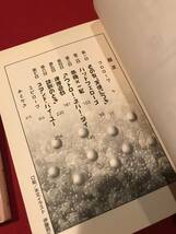 A6624●本・ライトノベル●2冊セット【セレスティアル・フォース】天国から来た特殊部隊/大いなる誤算 (角川文庫）中川圭士／〔著〕_画像4