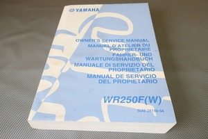 即決！WR250F/WR250FW/サービスマニュアル/5UME/5UMF/5UMG/5UM/英仏独西他語/検索(取扱説明書・カスタム・レストア・メンテナンス)/193