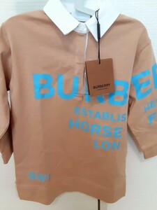 BURBERRYチルドレンボーイホースフェリー長袖ポロシャツ2Y