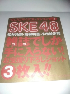 AKB48グッズ　SKE48 松井玲奈　希少　画像の紙袋は付きません　生写真　送料162円硬質ケース付き　送料62円硬質ケース無し