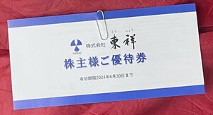 東祥　ホリディスポーツ　株主優待券　４枚セット　2024/6/30