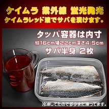 集魚剤 紫外線加工液 アミノ酸配合 ケイムラレッド190ml２本組 ケイムラ 液 冷凍 オキアミ 冷凍イワシ エサ 海上釣堀 エサ 釣りエサ 釣り餌_画像4