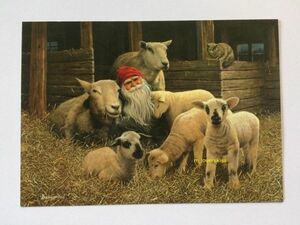 【北欧雑貨スウェーデン】クリスマス☆ポストカード◆未使用･長期保存品《羊たちとくつろぐトムテ》Jan Bergerlind, 印刷物, 絵はがき, ポストカード, その他