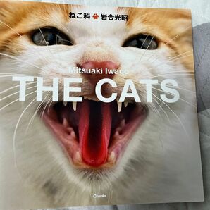 ねこ科　岩合光昭　THE CATS